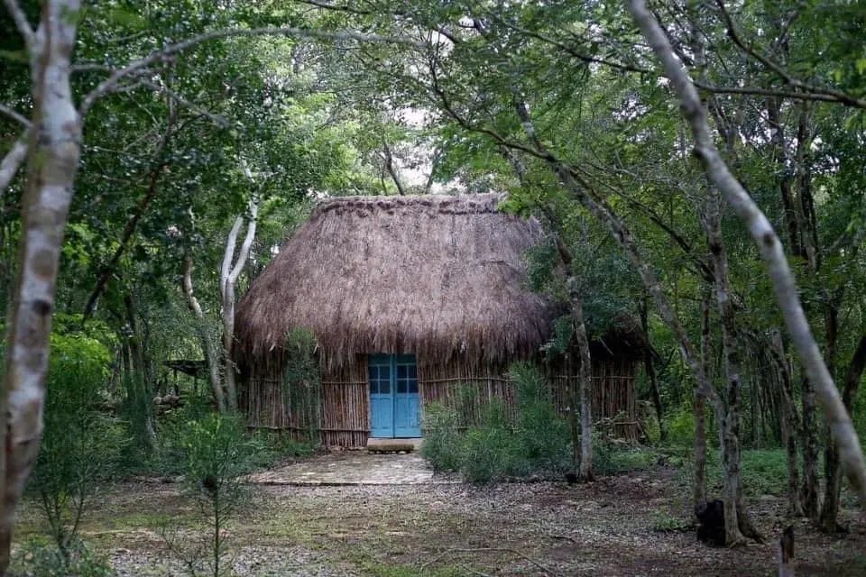 Maya House