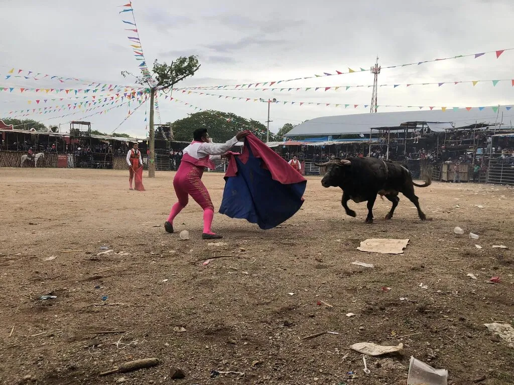 Bullfighting in Homún